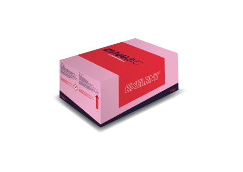 DYNAMYC Exelent